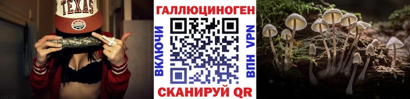 Псилоцибиновые грибы прущие грибы  Купить  Щёлково 